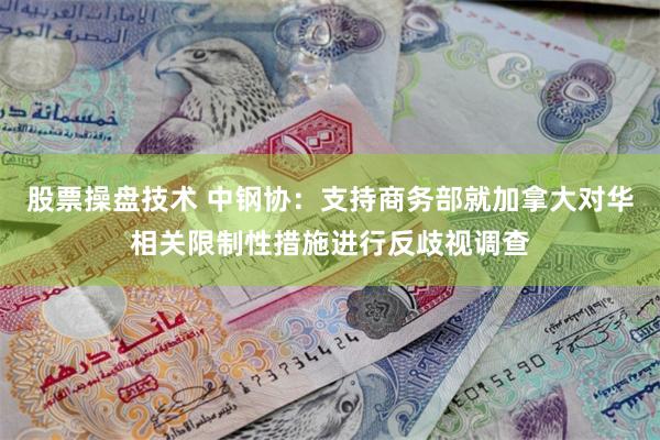 股票操盘技术 中钢协：支持商务部就加拿大对华相关限制性措施进行反歧视调查