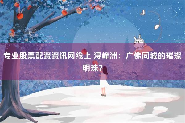 专业股票配资资讯网线上 浔峰洲：广佛同城的璀璨明珠？