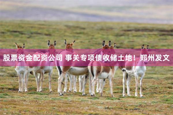 股票资金配资公司 事关专项债收储土地！郑州发文