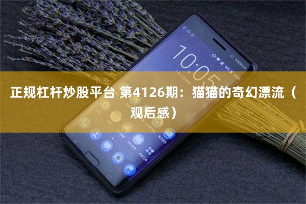 正规杠杆炒股平台 第4126期：猫猫的奇幻漂流（观后感）