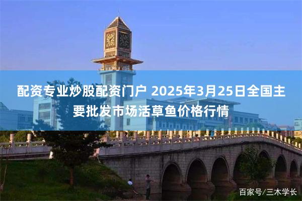 配资专业炒股配资门户 2025年3月25日全国主要批发市场活草鱼价格行情