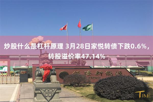 炒股什么是杠杆原理 3月28日家悦转债下跌0.6%，转股溢价率47.14%