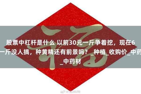 股票中杠杆是什么 以前30元一斤争着挖，现在6元一斤没人搞，种黄精还有前景吗？_种植_收购价_中药材