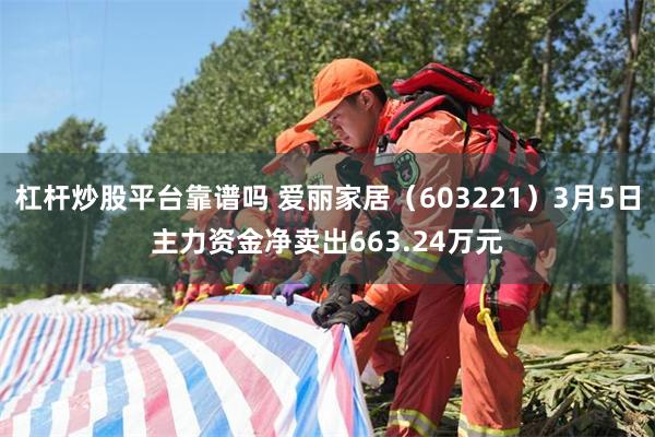 杠杆炒股平台靠谱吗 爱丽家居（603221）3月5日主力资金净卖出663.24万元