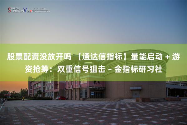 股票配资没放开吗 【通达信指标】量能启动 + 游资抢筹：双重信号狙击 – 金指标研习社