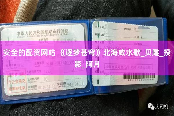 安全的配资网站 《逐梦苍穹》北海咸水歌_贝雕_投影_阿月