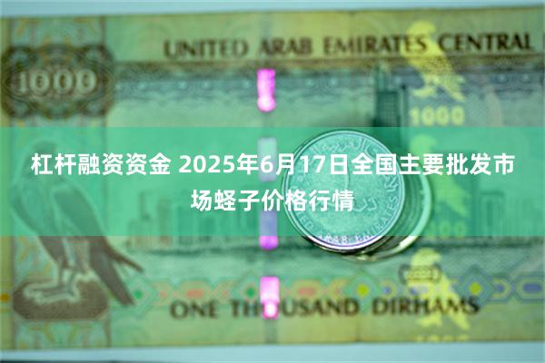杠杆融资资金 2025年6月17日全国主要批发市场蛏子价格行情