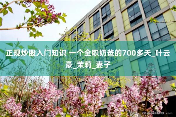 正规炒股入门知识 一个全职奶爸的700多天_叶云豪_茉莉_妻子