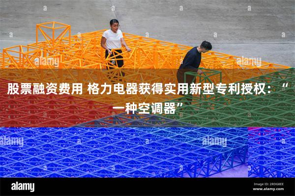 股票融资费用 格力电器获得实用新型专利授权：“一种空调器”
