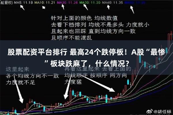 股票配资平台排行 最高24个跌停板!A股“最惨”板块跌麻了,什么情况?